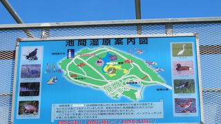 珍しい鳥がいる湿地帯です。