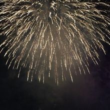 早速、始まりました