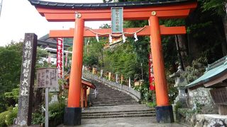 定期観光バスで廻る