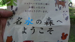 やまなし　森のなかのアイスクリーム工場　シャトレーゼ白州　2016夏