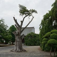 多宝院