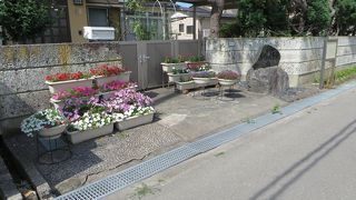 大河ドラマで有名になったようです