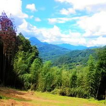 絶景　ランニング中に撮影した画像です