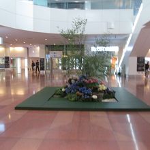 羽田空港 国際線旅客ターミナル