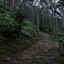 石畳の古道