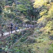 ４号路にあるつり橋