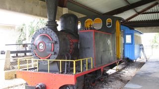 サトウキビを積んだ貨物列車