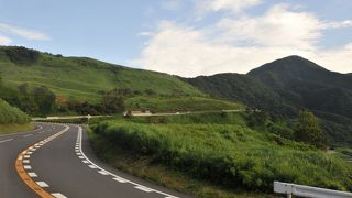 美しい緑の景色