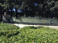 カリフォルニア大学 バークレー校 キャンパス ビジター センター