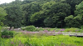 城があったとは思えない、のどかな風景が広がります。