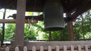 毎日3回撞かれているようです。