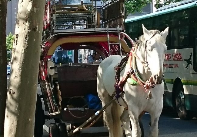 札幌観光幌馬車 クチコミ アクセス 営業時間 札幌 フォートラベル