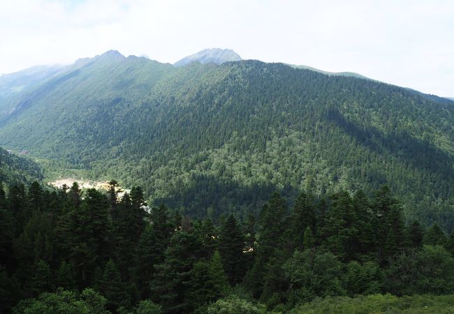 登りはロープウェーでいくことを強く勧める