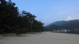 すごい広い松原