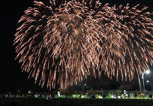 蒲郡まつり納涼花火大会 クチコミ アクセス 営業時間 蒲郡 フォートラベル 蒲郡まつり納涼花火大会 クチコミ アクセス 営業時間 蒲郡 フォートラベル
