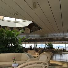 11デッキ パームコート