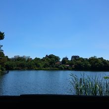 都心の真ん中のオアシス