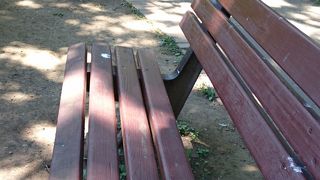 流行りのポケモン捕獲で大人気