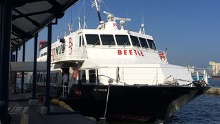 初釜山はビートルで