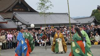 京都御所の庭で蹴鞠を披露。