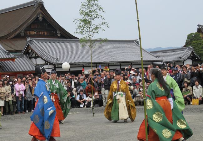 京都御所の庭で蹴鞠を披露。