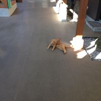 雲仙みかどホテル雲仙館 写真