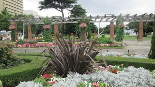 横浜を代表する大きな公園