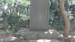 場所は少し見つけにくい場所にあると思いました