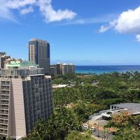 近くは緑がたくさん