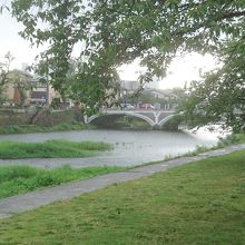 木の奥が浅野川大橋です。