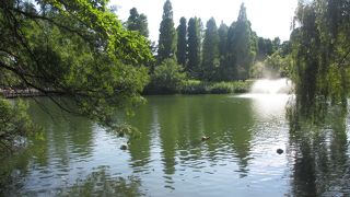 池の周りを歩いて1周してみました