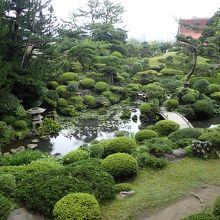 日本庭園の景色