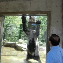 迫力！上で餌を与えているんですｗ