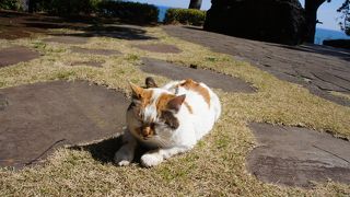 バス停の目の前