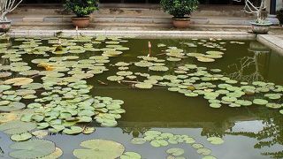 近くにある邸宅レストランのアンシエント・フエに行った後、興味が生まれて行ってみました。