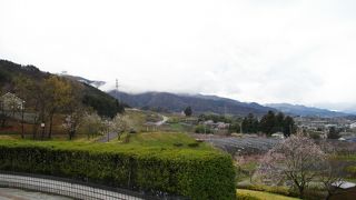 桃の時期には少し早くてがらんとしていました