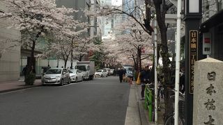 桜の時期はとてもきれい