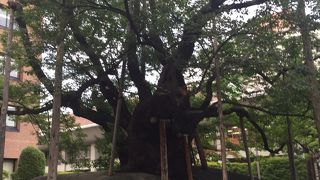 本当に石を割っている