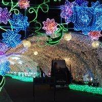 イルミネーション