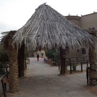 敷地内はこんな雰囲気