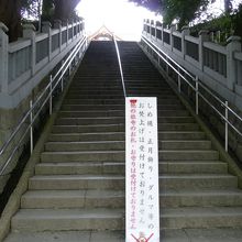 この長い階段を上ると・・・