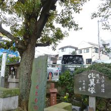 見落としそうなほど小さい！