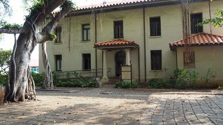 バニヤンツリーの目の前にあります