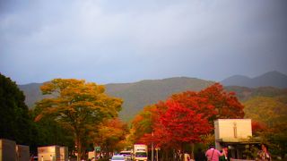 京都駅から電車で20分ほど