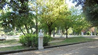 広大ないこいの広場