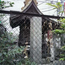 南側の休憩スペースから見た稲荷神社の側面の様子です。