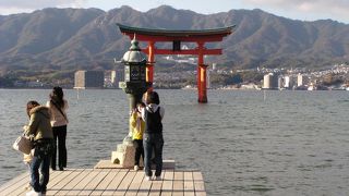 世界遺産　厳島神社、グルメも
