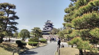 松本城と信州そば