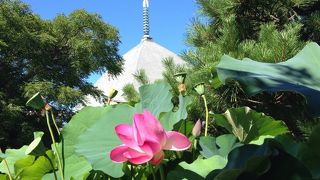 特徴のある建物