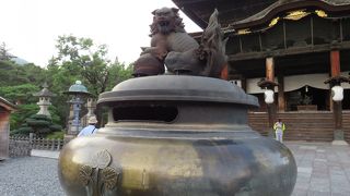 牛にひかれて・・・